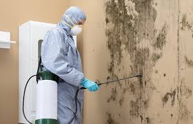 Forensic Mold Investigation in Walden, NY